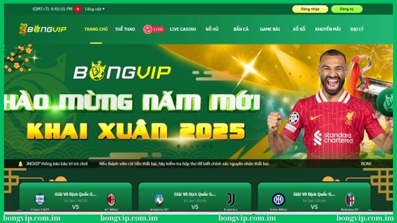 Bongvip Additive - Link Nhà Cái Bóng Đá Online VIP 2025 39 Bongvip là thiên đường giải trí dẫn đầu xu hướng